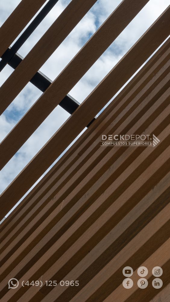 Galeria 16